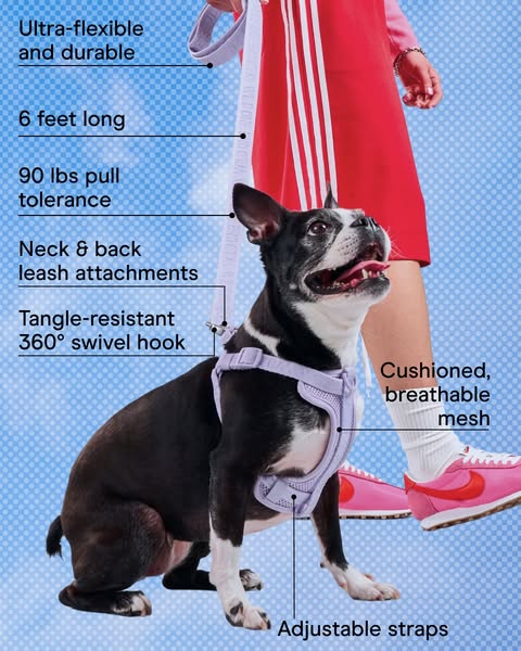 This ad showcases a lavender dog harness and leash set, pointing out key features using arrows and text labels. The imag