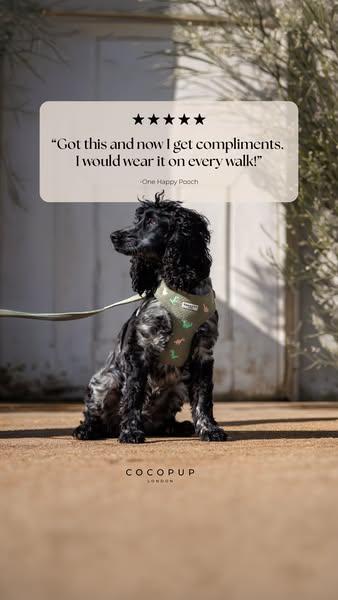 This ad features a testimonial from a happy customer who loves the product and is now getting compliments. The ad's 