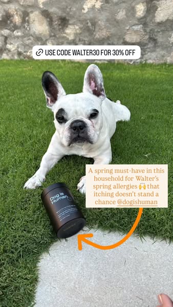 This ad shows a white dog laying on the grass next to a black container. An influencer testimonial is included in a spee