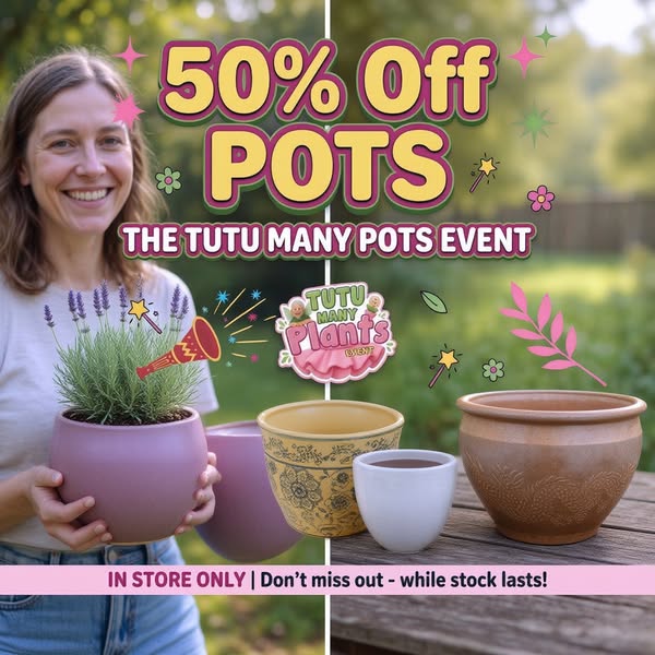 Hello Hello Plants Nursery ad