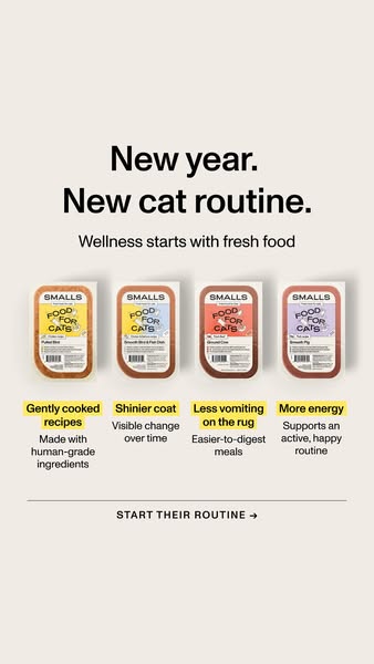 This image ad for Smalls cat food promotes a new routine for cats in the new year, emphasizing wellness through fresh fo