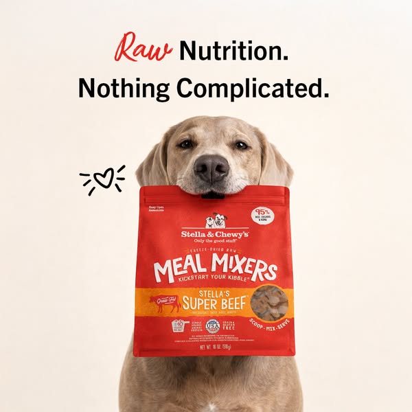 This image ad for Stella & Chewy's Meal Mixers features a Golden Retriever holding a bag of Super Beef Meal Mixe