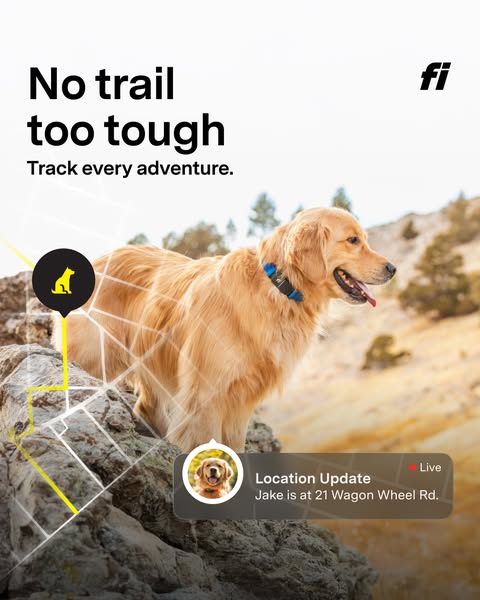 The ad highlights the Fi dog collar as a rugged device that can track your dog's location, even on difficult trails.