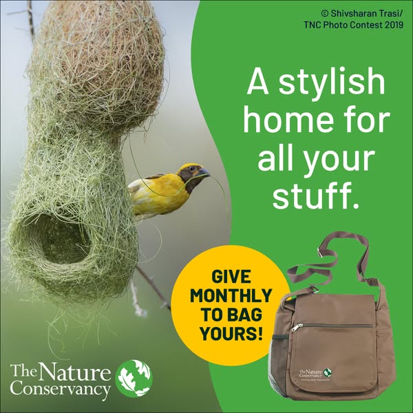 This image ad for The Nature Conservancy equates stylish bird homes to their own stylish tote bag, and encourages viewer