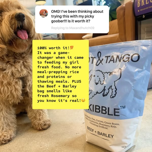Spot & Tango ad