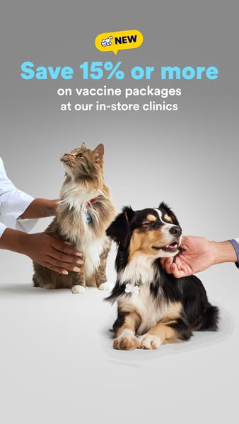 This single image ad promotes a 15% discount or more on vaccine packages at the in-store clinics.