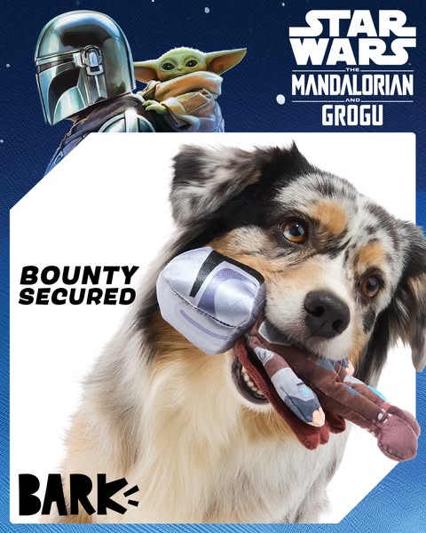 This ad features a dog holding two Bark Star Wars themed dog toys in its mouth: one toy of The Mandalorian's helmet