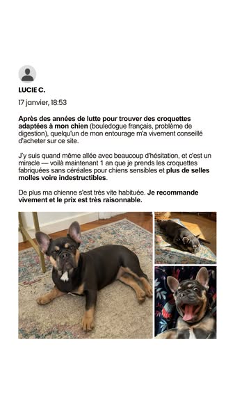 The ad features a review from Lucie C. about a dog food that has helped her French bulldog with digestion issues. She pr