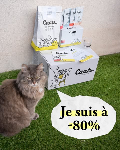 This ad showcases a variety of Caats brand cat food and supplies. The main draw of the ad is that a promotion is happeni
