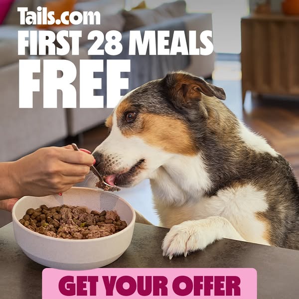 This ad for Tails.com offers the viewer their first 28 meals free. The ad features a dog being hand-fed from a bowl of T