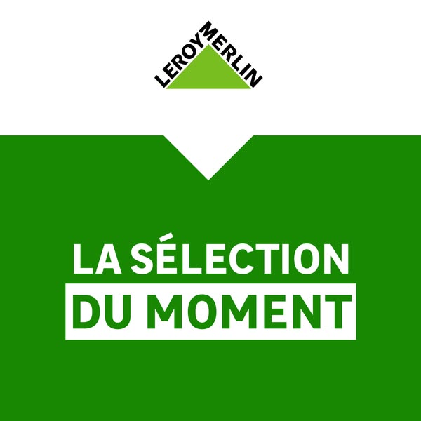This ad is for Leroy Merlin, a home improvement and gardening retailer. The ad simply states "LA SÉLECTION DU MOMEN