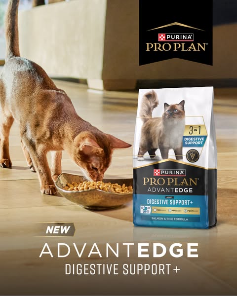 This ad for Purina Pro Plan cat food features a cat eating from a bowl next to a bag of cat food, highlighting the diges