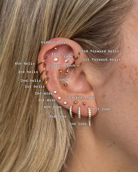An image ad focusing on a person's ear with multiple piercings and labels identifying them. The image appears to be 