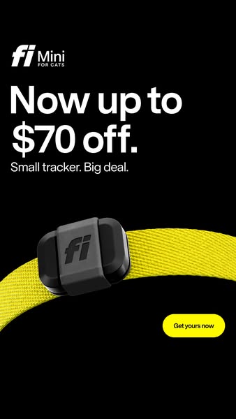 This ad for Fi Mini for Cats features the product and highlights a discount of up to $70 off.