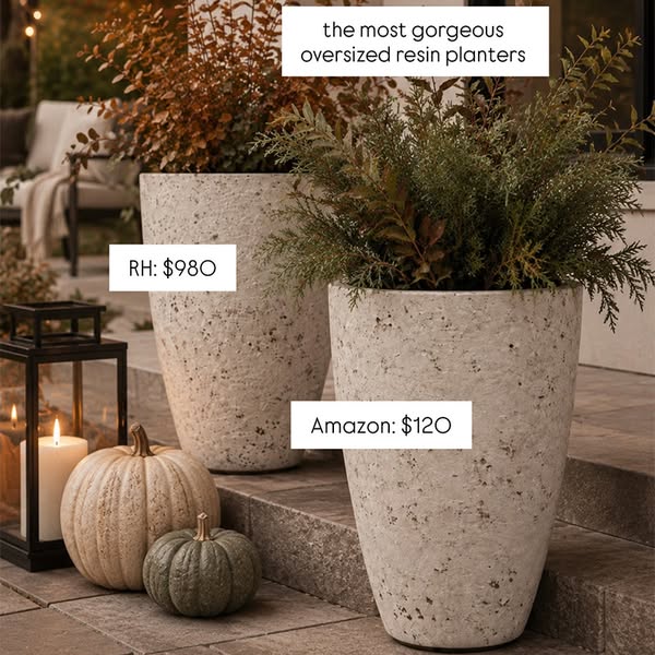 Ainsley Rodriguez ad