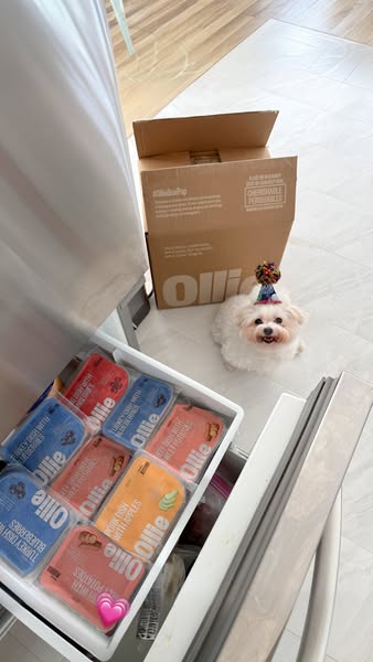 Babblin Barb ad