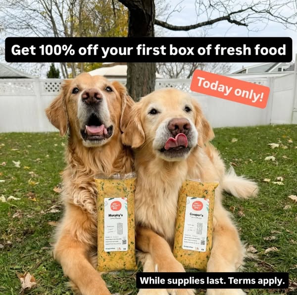 themgoldenboys ad