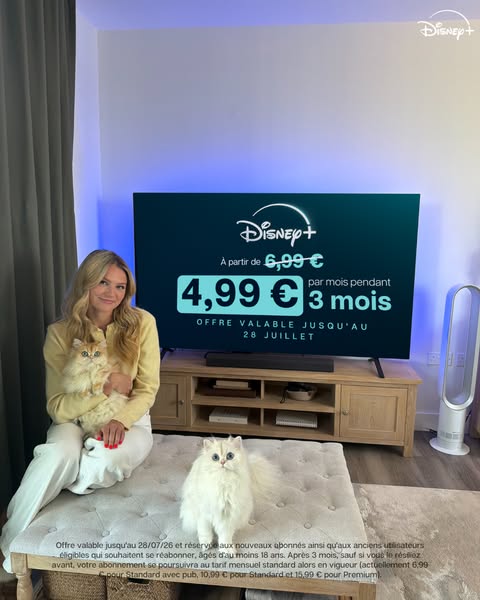 Our Cat Biscuit ad