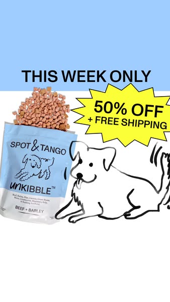 Spot and Tango ad