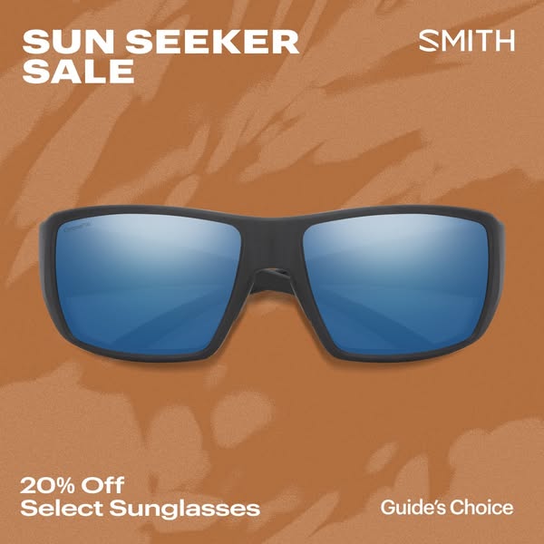 This image ad is designed to grab attention with a sale on sunglasses. The ad features a large pair of sunglasses in the