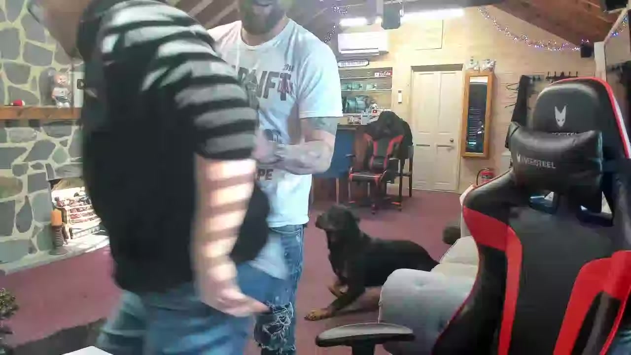 SouthendDogTraining ad