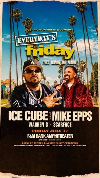 Ice Cube ad