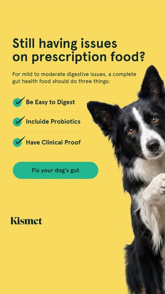 Dr. Kwane Stewart ad