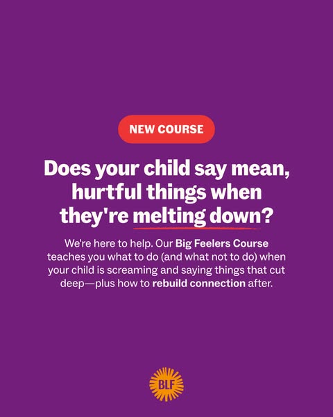 This ad addresses the problem of children saying mean, hurtful things when they are melting down and offers a course to 