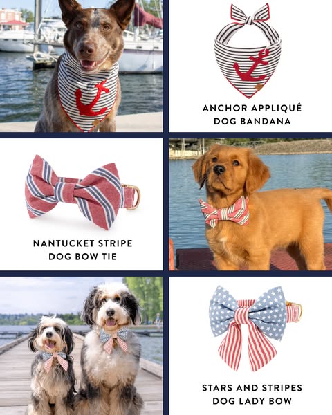The ad showcases a variety of dog bandanas and bow ties with nautical and patriotic themes. It features dogs wearing the