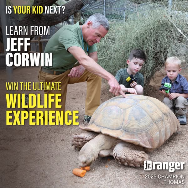 Jr. Ranger ad