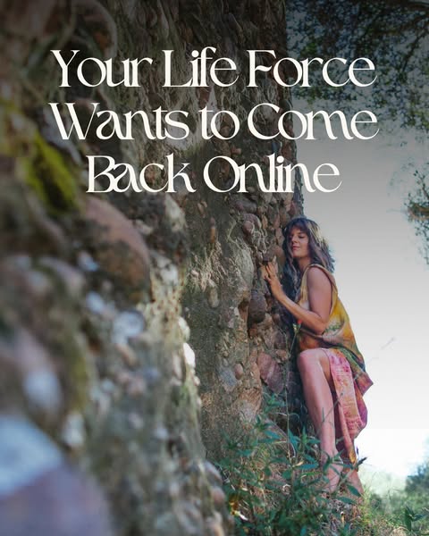School of the Sacred Wild : Regenerative Healing for Earth & People ad