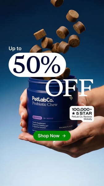 The Dodo ad