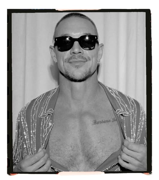 Diplo ad