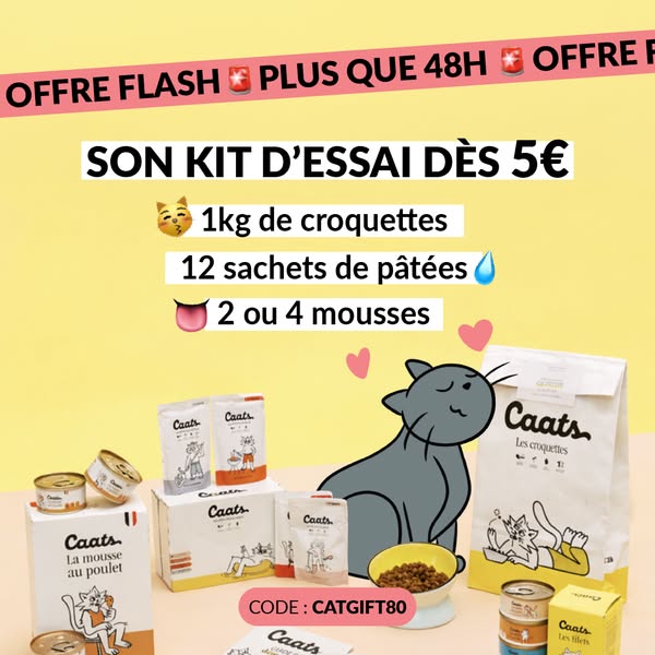 This ad showcases a cat food kit that offers a variety of options for cats, including dry kibble, pate, and mousse. The 