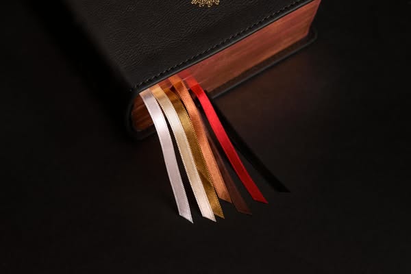 Bishop Robert Barron ad