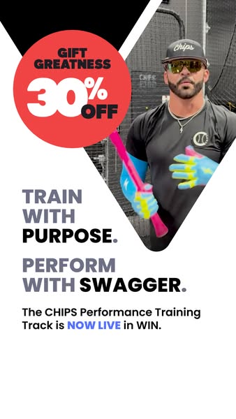 CHIPSPerformance ad