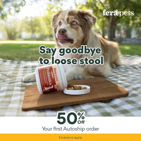 This image ad features a dog near a bottle of Fera Pets Probiotics on a blanket and promotes a discount.