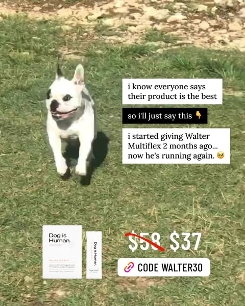 Walter Geoffrey ad