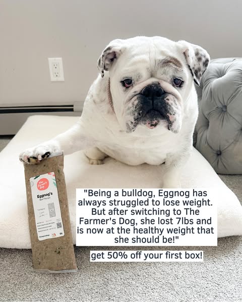Eggnogthebulldog ad