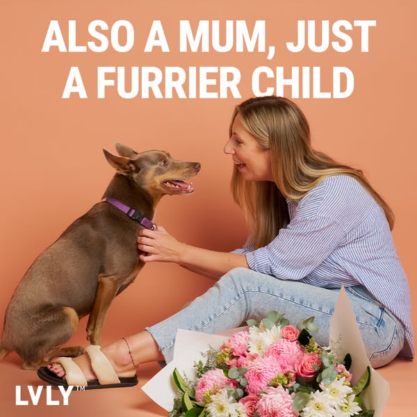 LVLY Flowers & Gifts ad