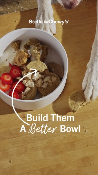 This ad for Stella & Chewy's dog food uses an overhead shot of a dog bowl filled with ingredients along with a d