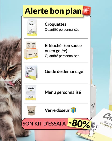 The ad highlights different components of a personalized cat food kit, featuring both wet and dry food options and a sta