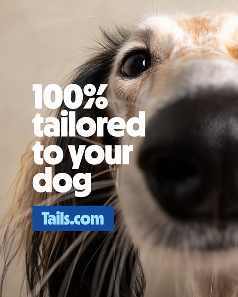 This single image ad for Tails.com features a close-up shot of a dog's face to emphasize the brand's promise of 