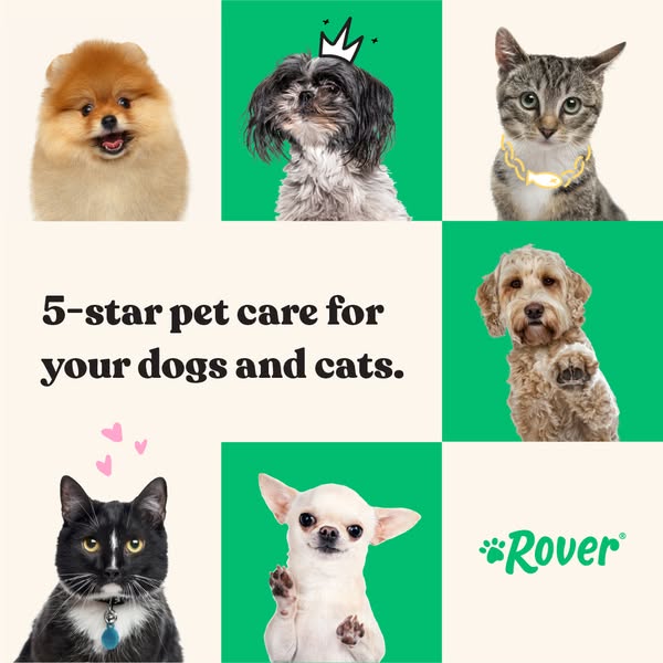 This ad for Rover features a grid of pet portraits and promotes 5-star pet care for dogs and cats.