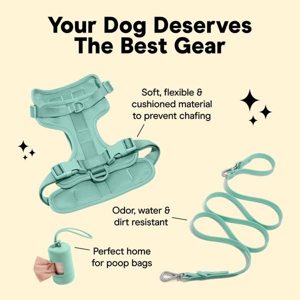 This ad showcases a matching dog harness, leash, and poop bag holder set in a light teal color. The ad highlights the co