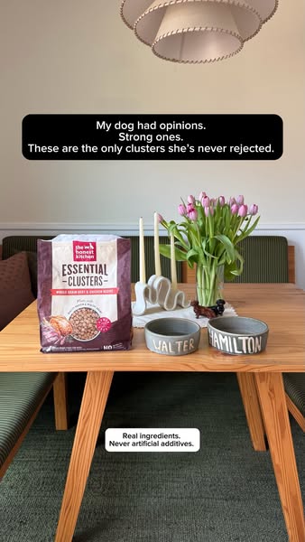 This ad emphasizes a dog's preference for the advertised dog food, "The Honest Kitchen Essential Clusters"