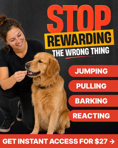 Tom Davis Dog Training ad