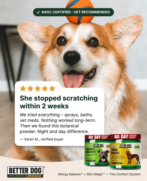 Cesar Millan ad