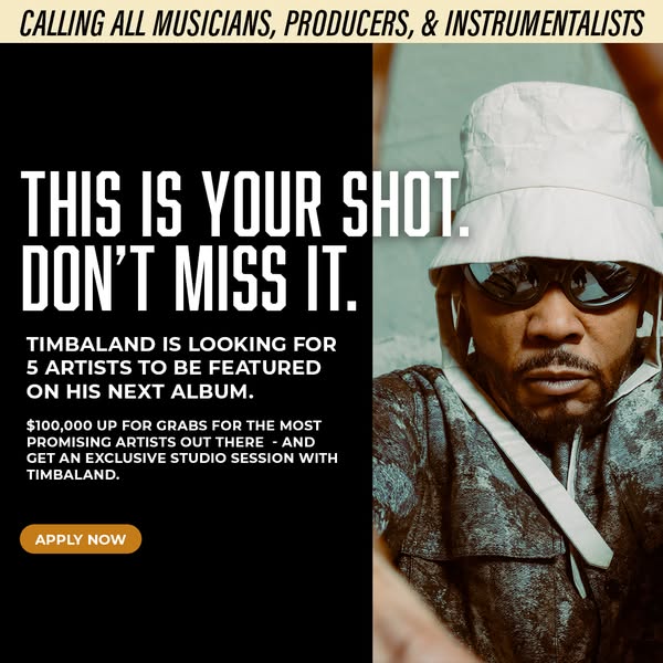 Timbaland ad