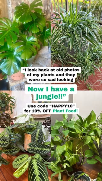 Happy Happy Houseplant ad